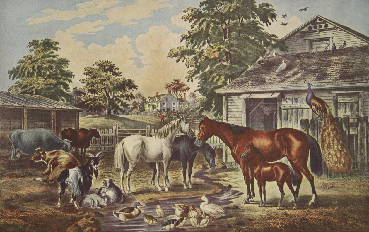 अमेरिकन फार्म यार्ड - सुबह, पब। 1857, क्यूरियर और इवेस द्वारा अमेरिकी स्कूल