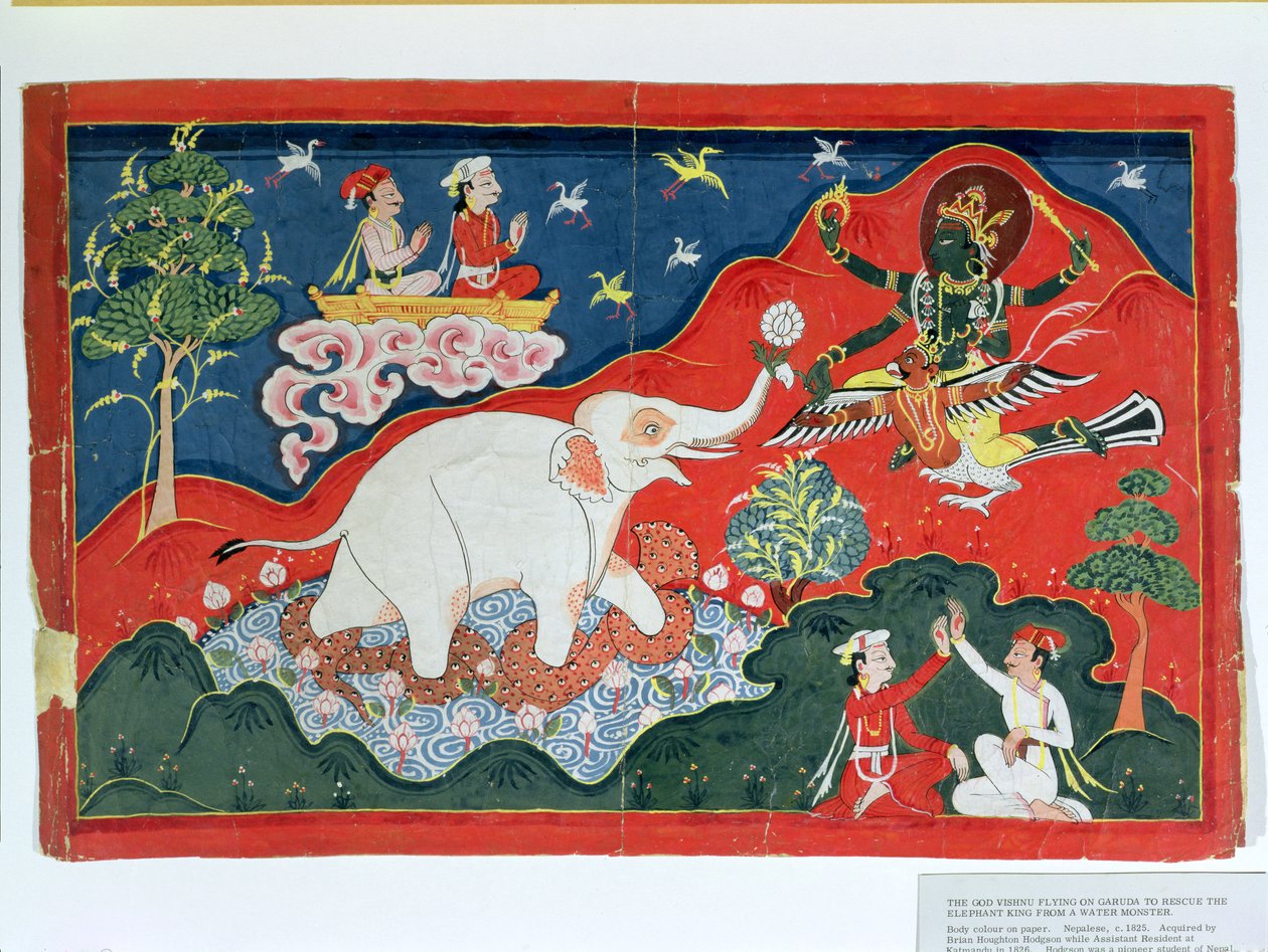 एक जल दानव, नेपाली, c.1825 से हाथी राजा को बचाने के लिए भगवान विष्णु गरुड़ पर उड़ान भरते हैं द्वारा इंडियन स्कूल