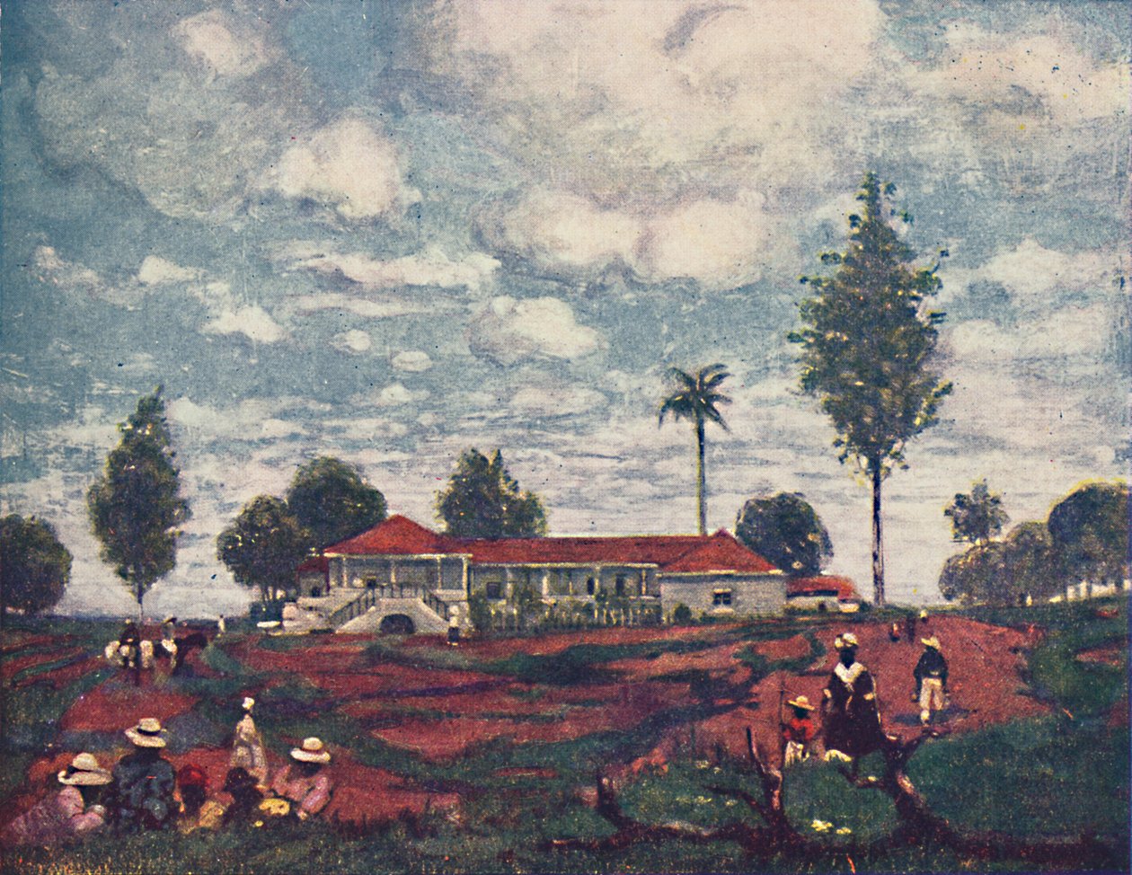 एक कॉफी फार्म, 1916 द्वारा एएस फॉरेस्ट