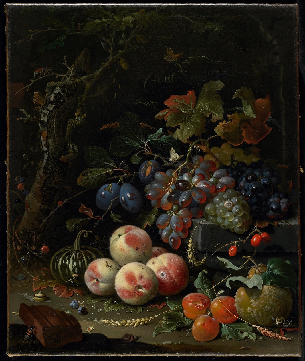 फिर भी जीवन फल, पत्ते और कीड़े के साथ, c.1669 द्वारा अब्राहम मिग्नन