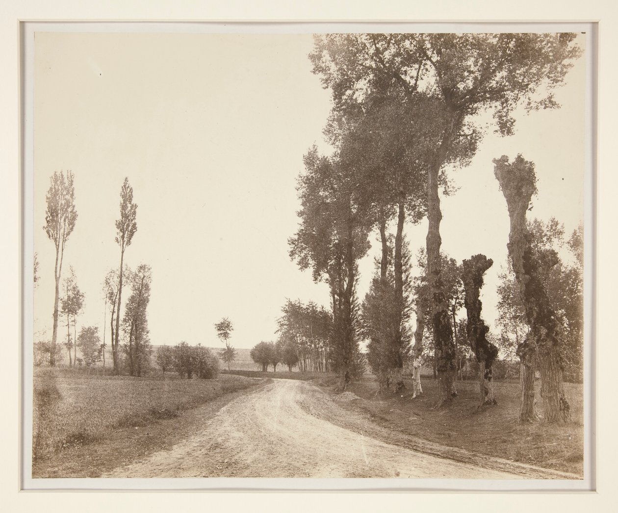  द्वारा एडलबर्ट कुवेलियर