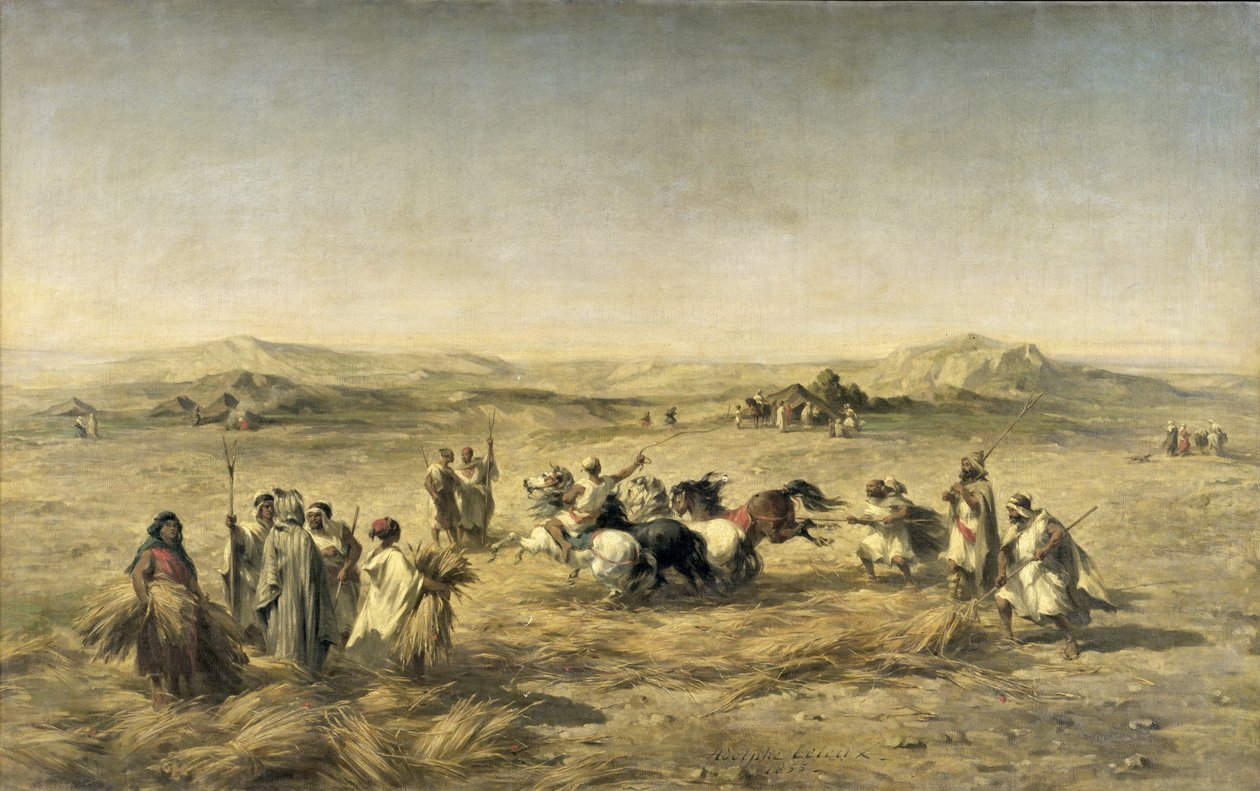 अल्जीरिया में थ्रेसिंग गेहूं, 1853 द्वारा एडोल्फ पियरे लेलेक्स