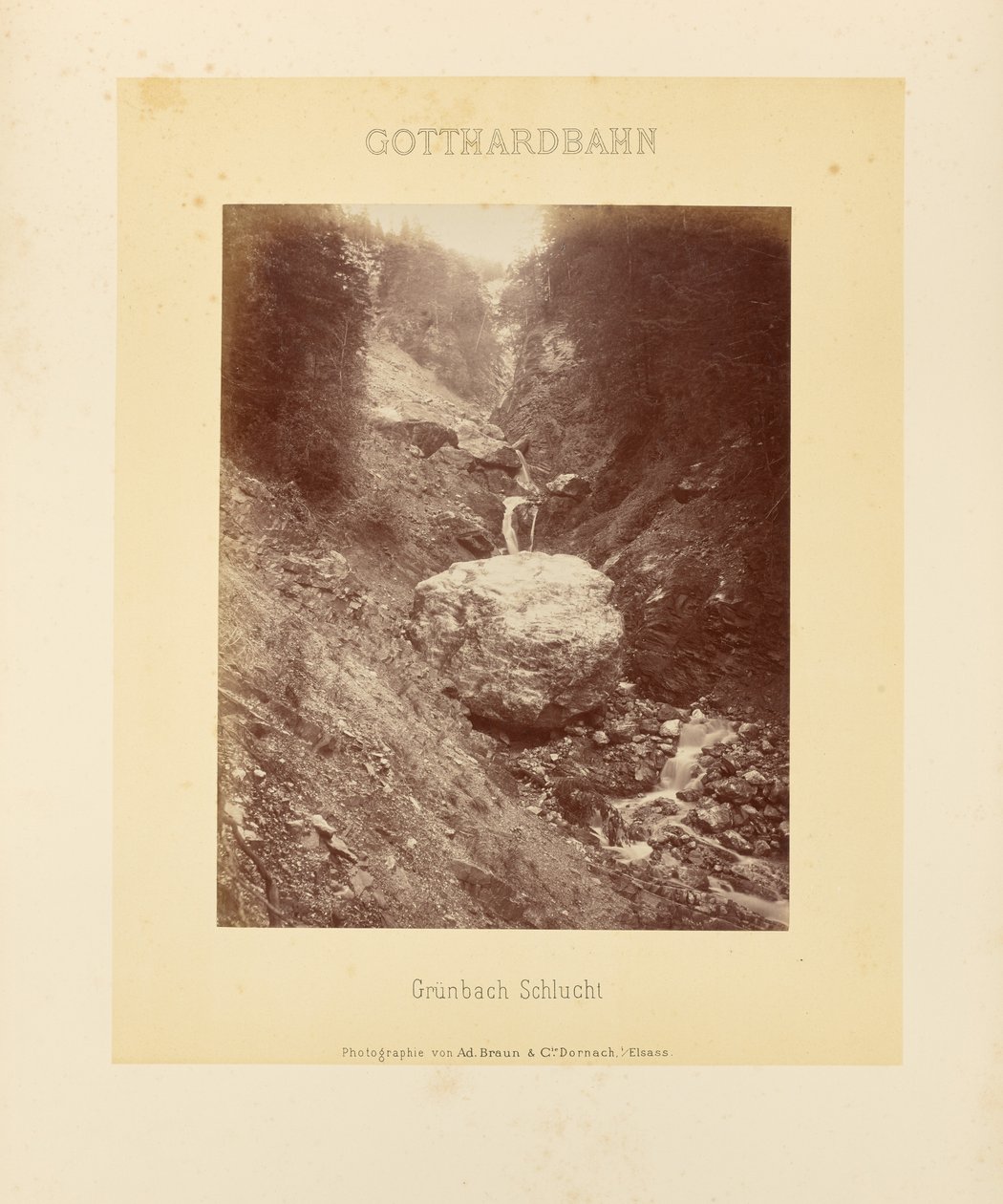 द्वारा एडोल्फ ब्राउन और सी