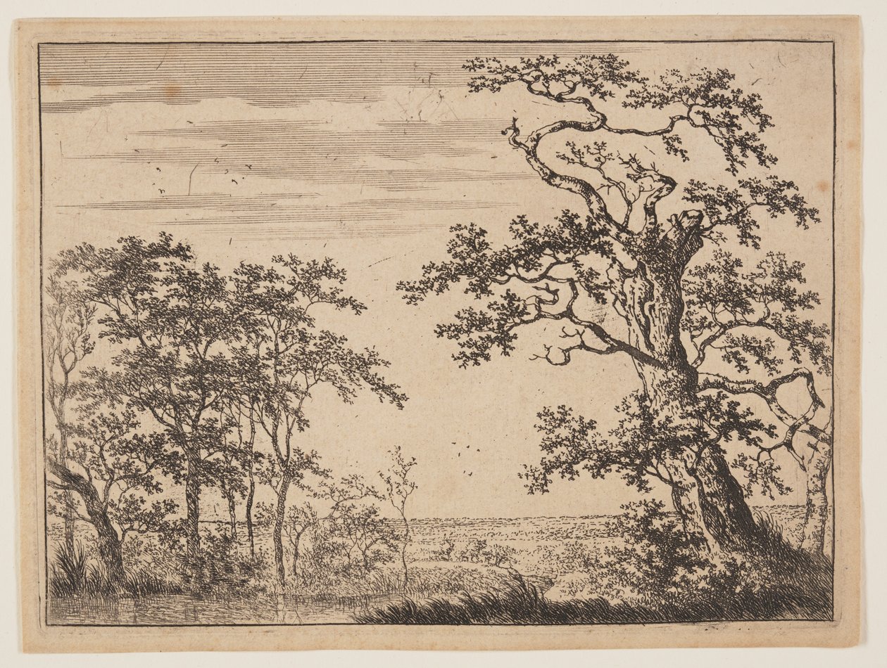  द्वारा एड्रिएन हेंड्रिकस। Verboom