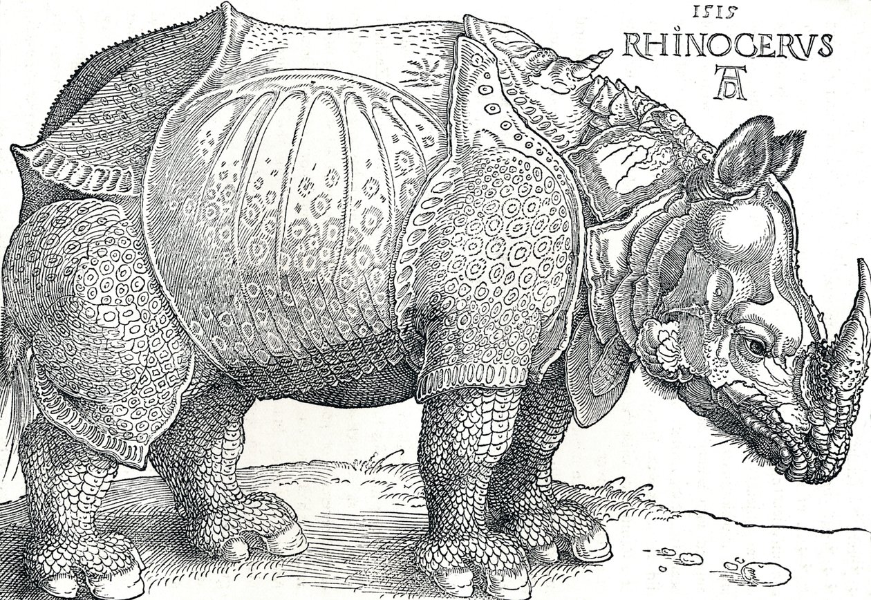 एक गैंडा, 1515, 1906 द्वारा अल्ब्रेक्ट ड्यूरर
