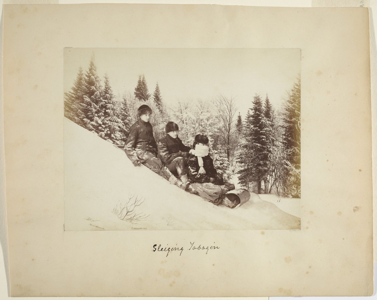 टोबोगनिंग, c.1873 (एल्बम प्रिंट (समग्र)) द्वारा अलेक्जेंडर हेंडरसन