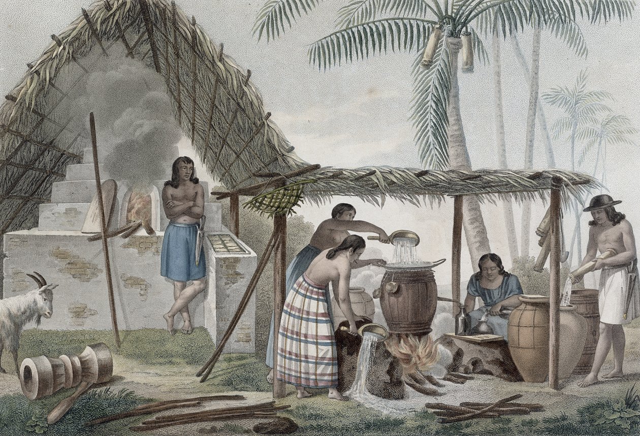 गुआम के द्वीप पर एक डिस्टिलरी का दृश्य, &39;1817-20 के यूरेनिया के कॉरपेट पर दुनिया भर की यात्रा&39; से, 1825 में प्रकाशित पोमेल द्वारा उकेरा गया द्वारा अल्फोंस पेलियन