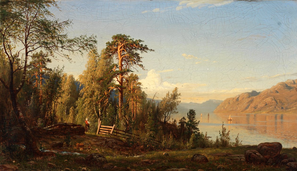 Fjord पार्टी द्वारा अमलडस नीलसन