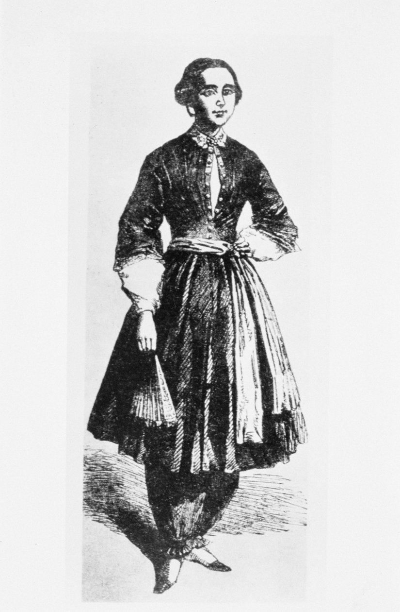 एमेलिया ब्लोमर (1818-94) का पोर्ट्रेट c.1850 द्वारा अमेरिकी स्कूल