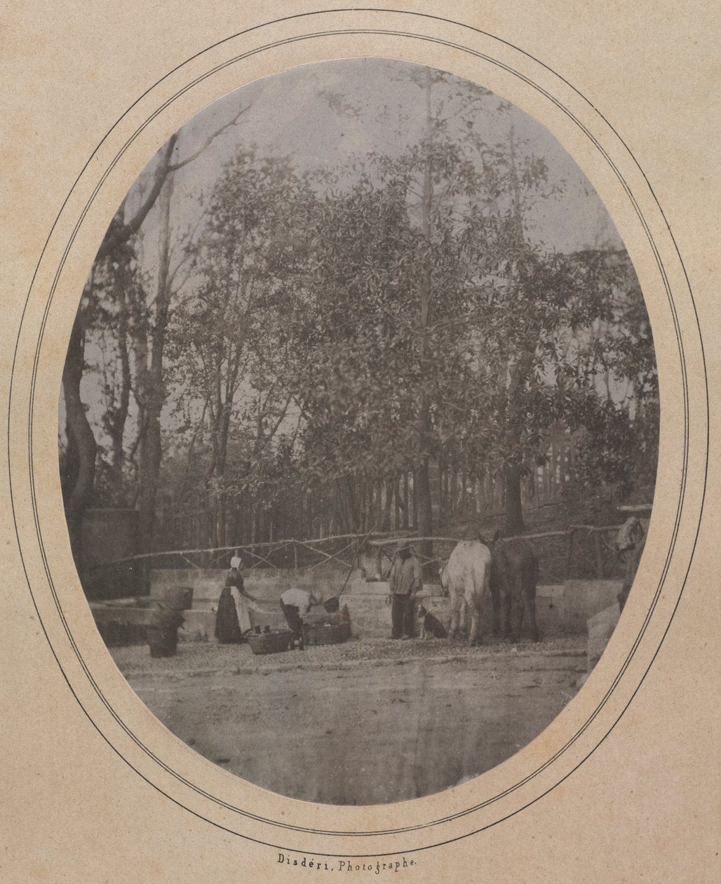  द्वारा आंद्रे एडोल्फ यूजीन डिसडेरी