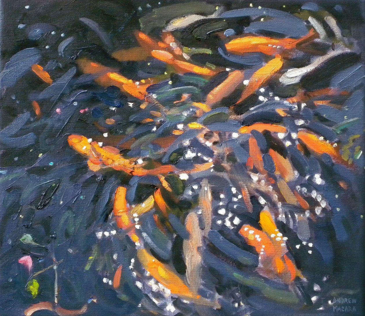 गोल्डफिश, 2010 द्वारा एंड्रयू मकारा