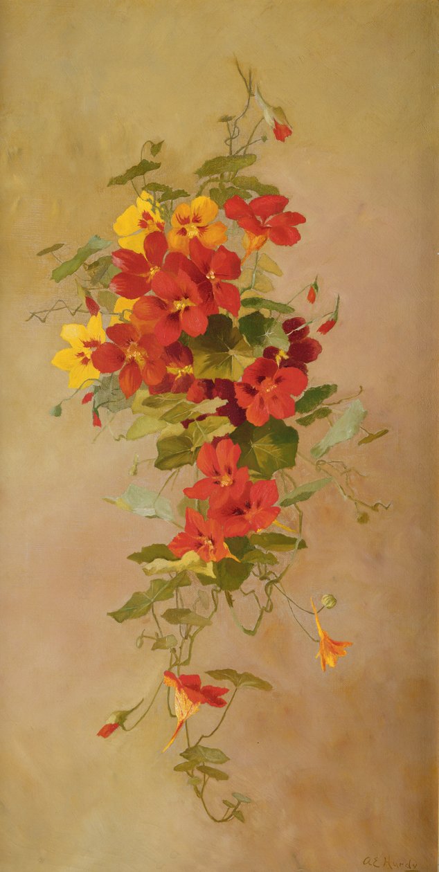 nasturtiums द्वारा अन्ना एलिजा हार्डी