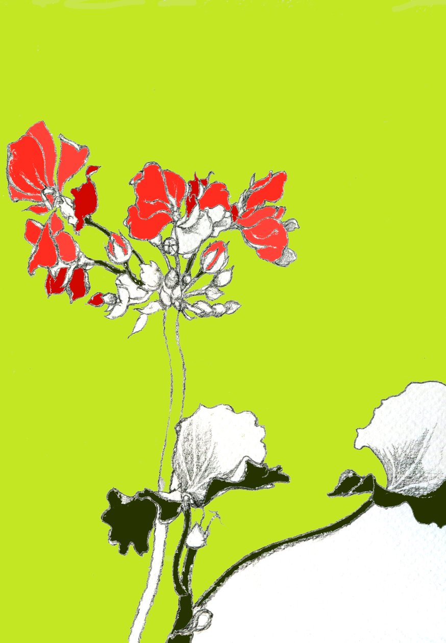 geranium द्वारा अन्ना प्लैट्स
