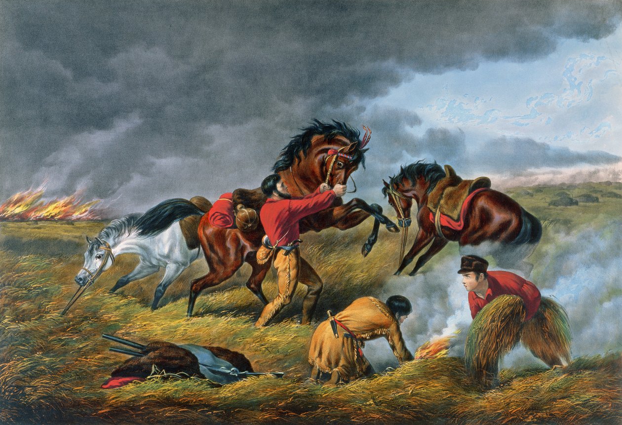 प्रेयरी पर जीवन, पब। करियर और इवेस, न्यूयॉर्क द्वारा, 1862 द्वारा आर्थर फिट्ज़विलियम टैट