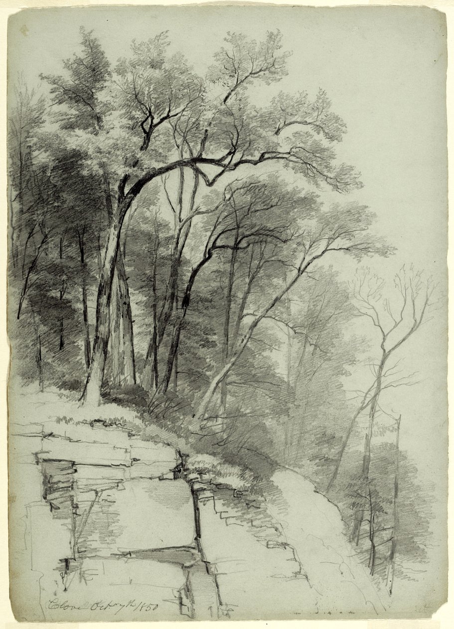 पेड़ों और चट्टानों का अध्ययन, कैट्सकिल क्लोव, न्यूयॉर्क, 1850 (ग्रे-ग्रीन पेपर पर ग्रेफाइट) द्वारा एशर ब्राउन डूरंड