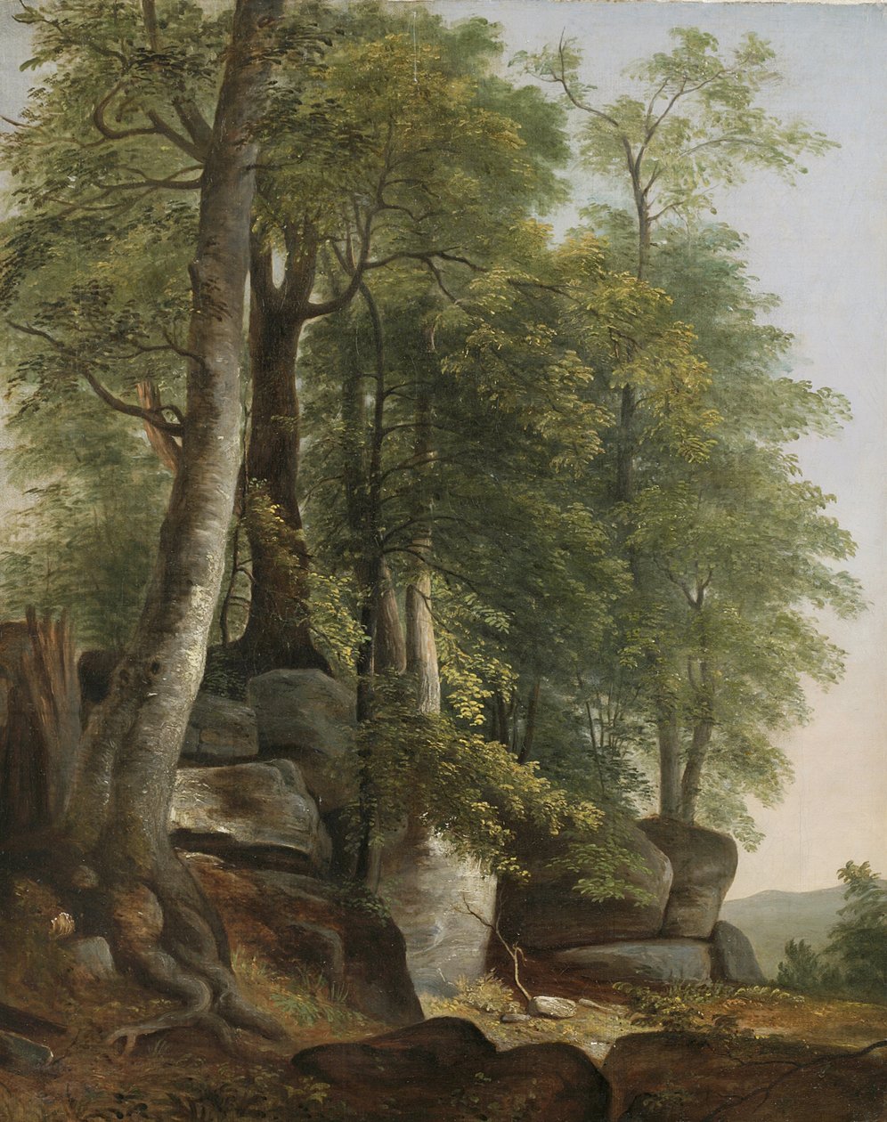 चट्टानों और पेड़ों के साथ लैंडस्केप, c.1845 द्वारा एशर ब्राउन डूरंड