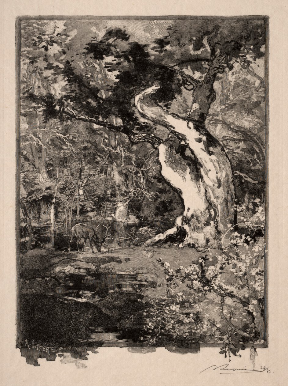 क्लोविस, पठार डे बेलेक्रोइक्स, 1890। द्वारा अगस्टे लुई लेपेयर