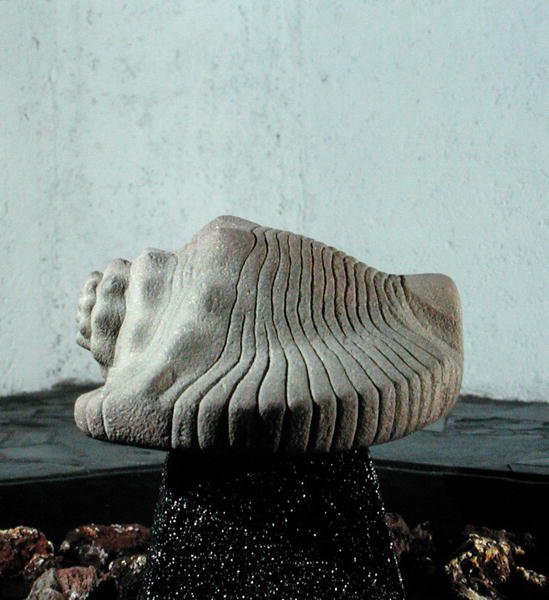 सी स्नेल शेल, c.1500 (यह भी देखें 198376 और 207560 द्वारा एज़्टेक