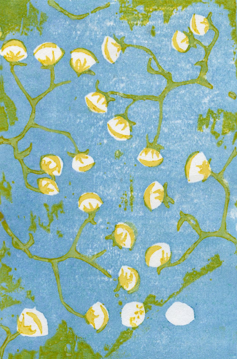 शराबी सीडहेड्स, 2012 (वॉशी पर वुडब्लॉक) द्वारा बेला लार्सन