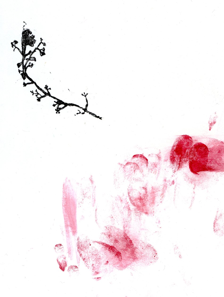 लिचेन {फे-एरी डस्ट}, 2014 (कागज पर लकड़ी की नक्काशी और पानी का रंग) द्वारा बेला लार्सन