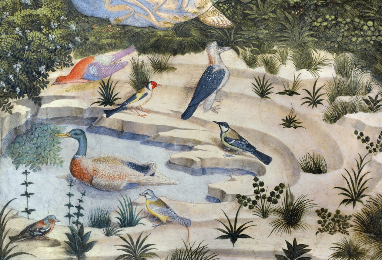 एक तालाब के आसपास पक्षी, चैपल में मैगी चक्र की यात्रा से विस्तार, c.1460 फ्रेस्को विस्तार 707010 द्वारा बेनोज़ो डी लेस डि सैंड्रो गूज़ोली