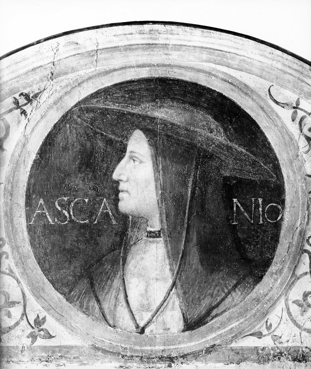 कार्डिनल Ascanio Sforza के पोर्ट्रेट द्वारा बर्नार्डिनो लुइनी