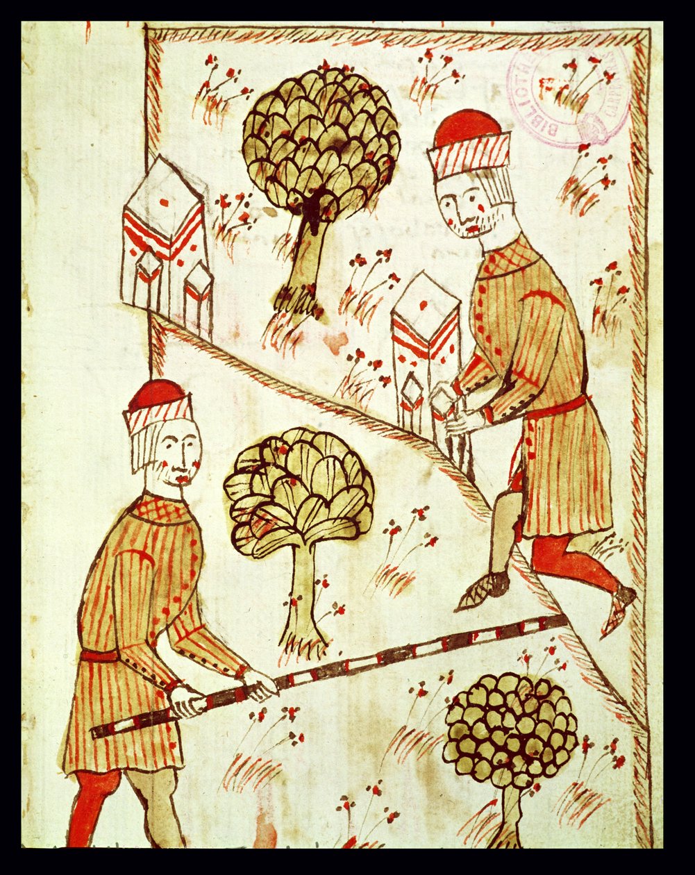 सुश्री 327 fol.28r अरनौद डी विलीन्यूवे (1240-1312) द्वारा भूमि सर्वेक्षण से भूमि का सर्वेक्षण और सीमांकन द्वारा बर्ट्रेंड बॉयसेट