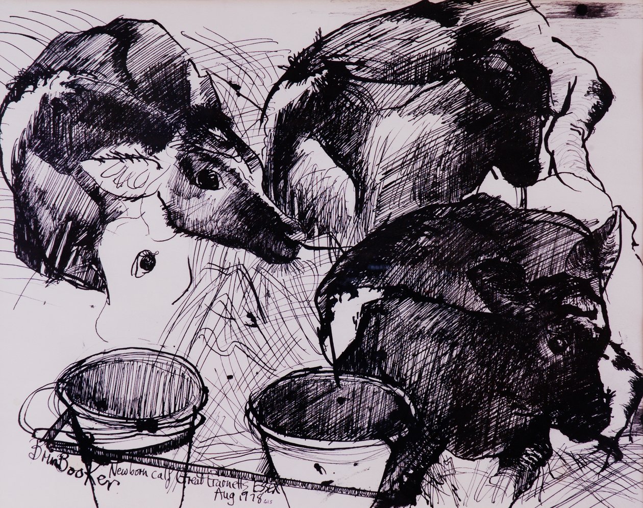 बछड़े, नम, नवजात शिशु, 1978 द्वारा ब्रेंडा ब्रिन बुकर