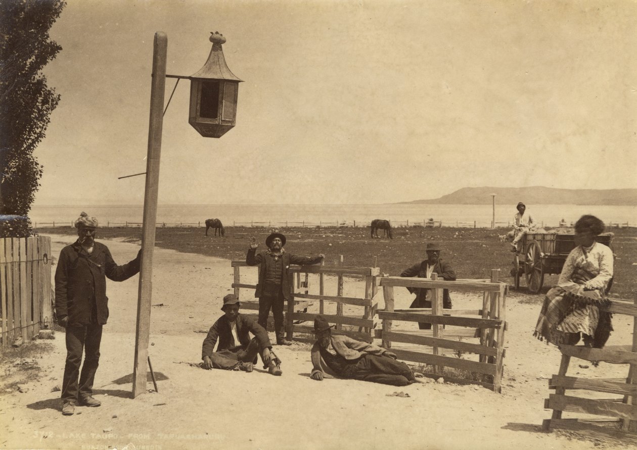 टापूहरु से लेक तौपो - c.1886 (एल्बम प्रिंट) द्वारा बर्टन ब्रदर्स स्टूडियो