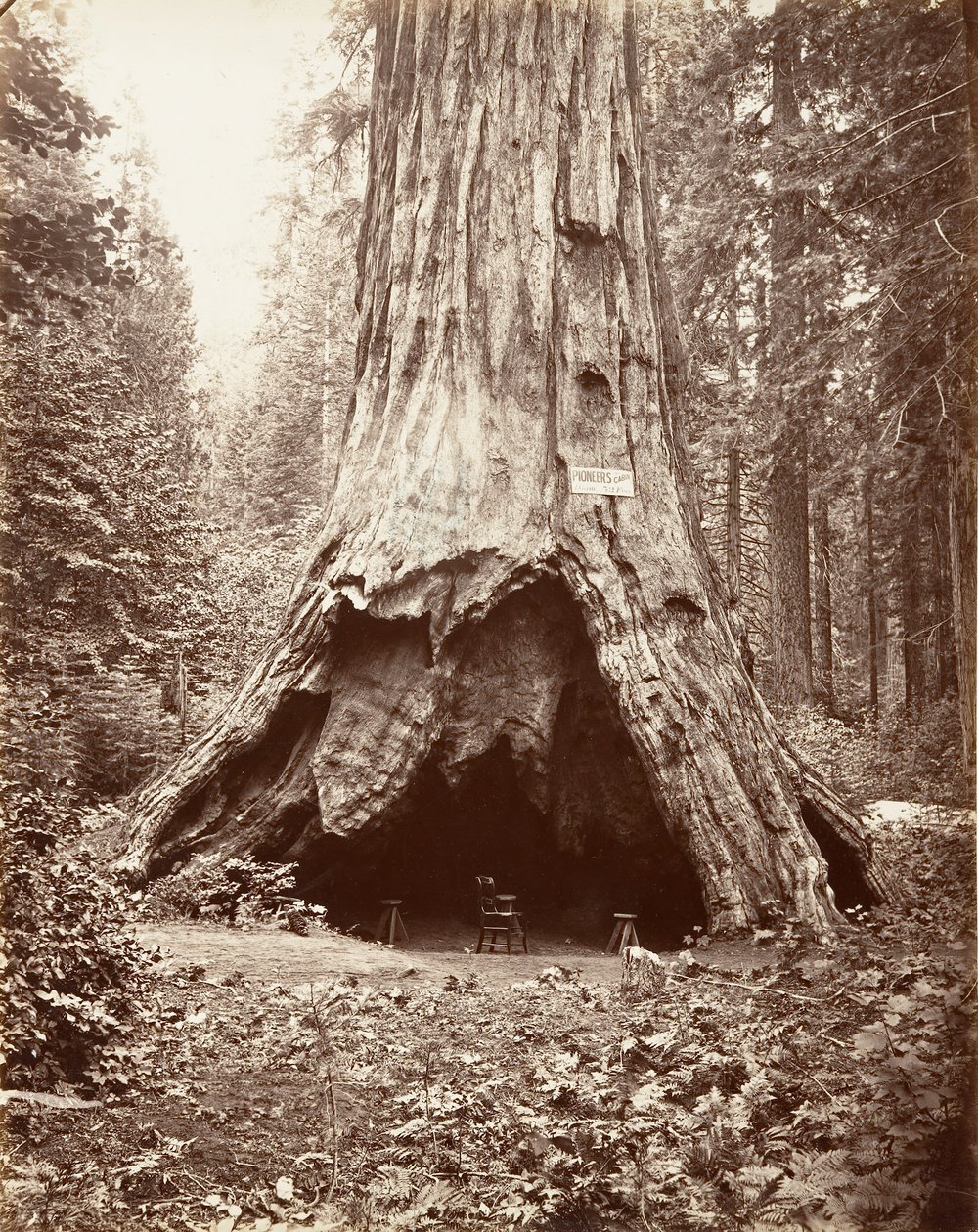 पायनियर का केबिन, 1865-66, सीए मुद्रित। 1876. द्वारा कार्लटन एम्मन्स वॉटकिंस