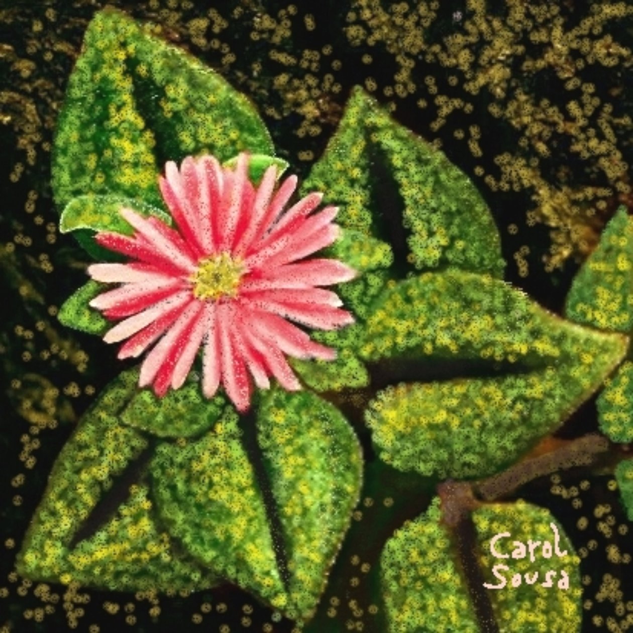  द्वारा कैरल सूसा कुएल्लो