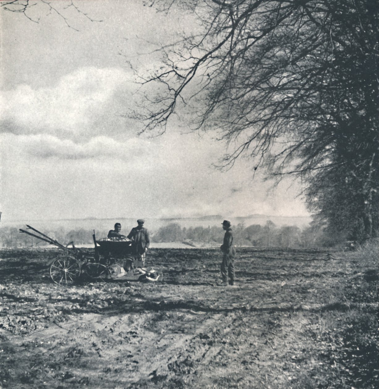 अफार को मैदान और फर्राटेदार, 1941 द्वारा सेसिल बीटन