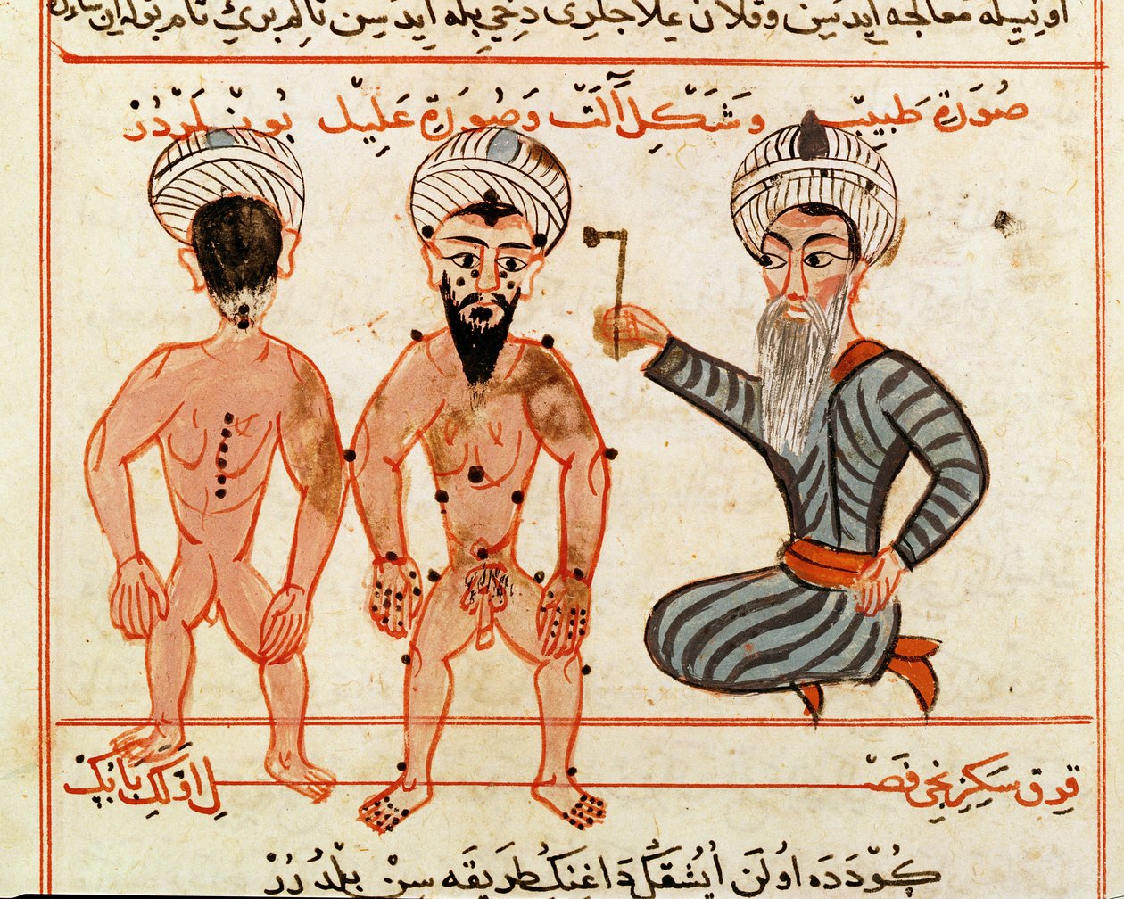 सुश्री सुपर टर्क 693 fol.46v कुष्ठ घावों, 1466 का गर्भाधान द्वारा चराफ एड दीन