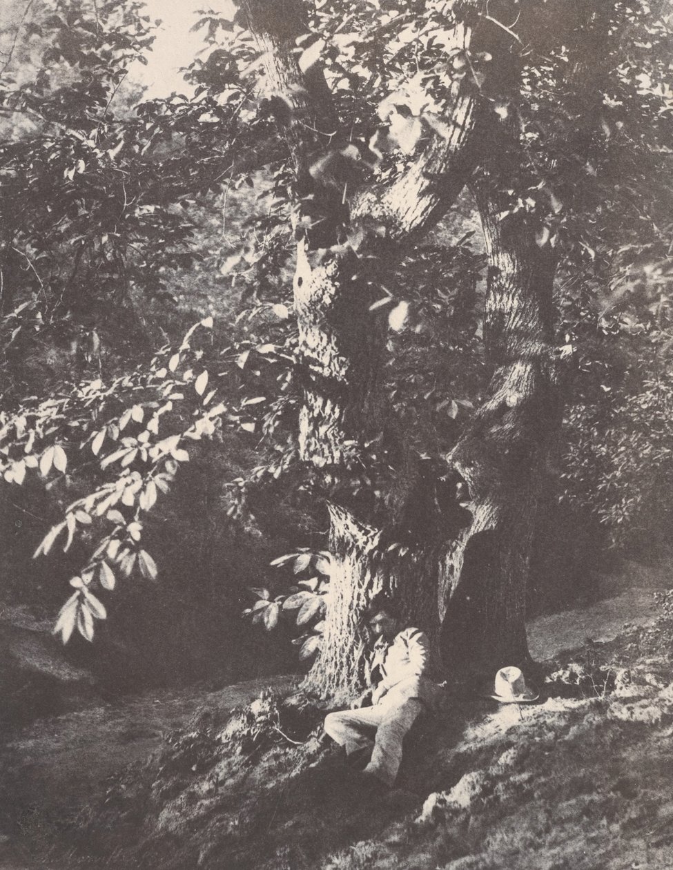 शाहबलूत के पेड़ के नीचे लेटा हुआ आदमी, 1850-53। द्वारा चार्ल्स मारविल