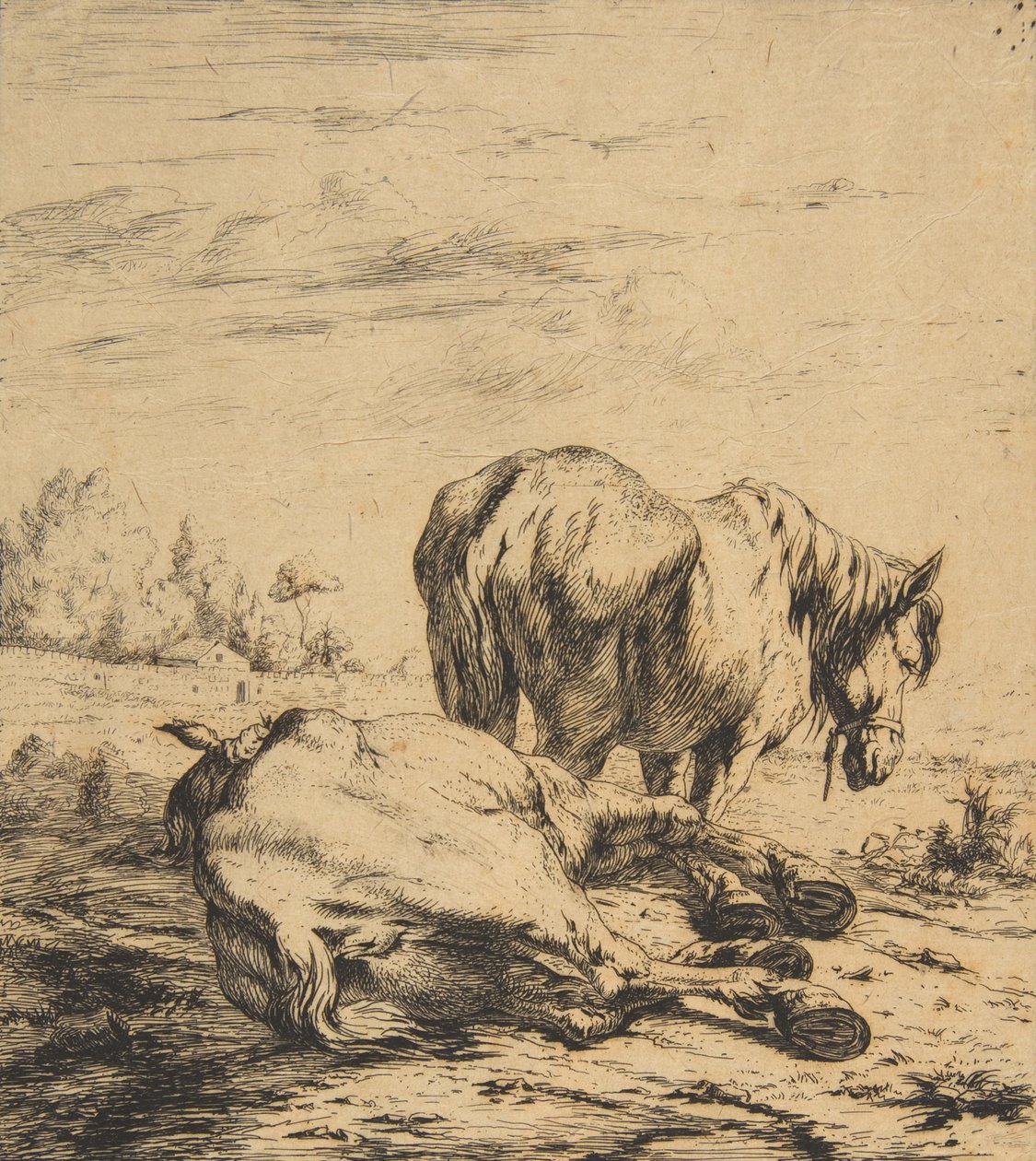 दो घोड़े, 1850। द्वारा चार्ल्स मेरियन