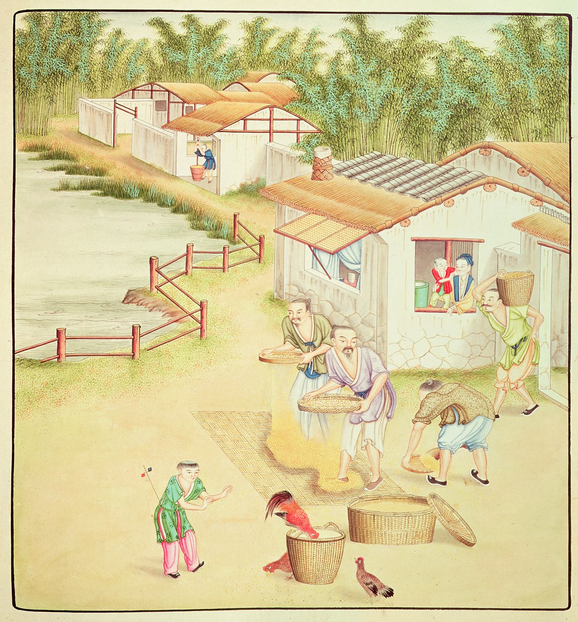 चीनी किसान चावल भेजते हैं द्वारा चीनी स्कूल