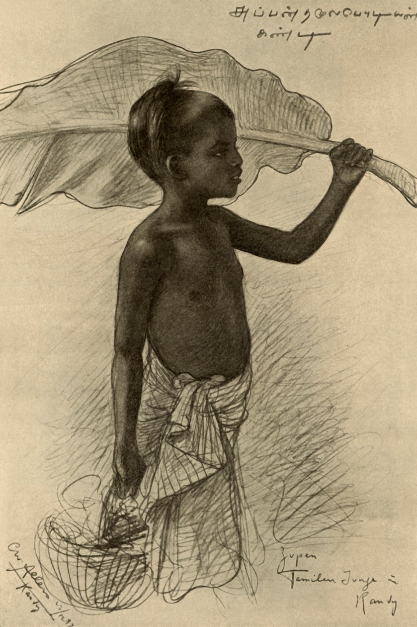 तमिल बॉय, कैंडी, सीलोन, 1898। द्वारा क्रिश्चियन विल्हेम एलर्स