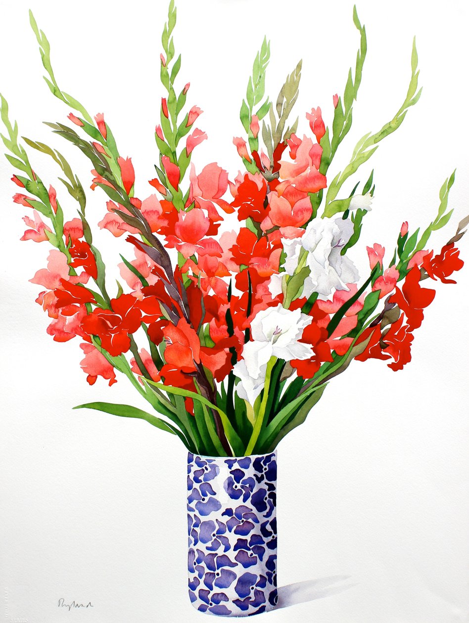लाल और सफेद Gladioli (कागज पर पानी के रंग) द्वारा क्रिस्टोफर रायलैंड