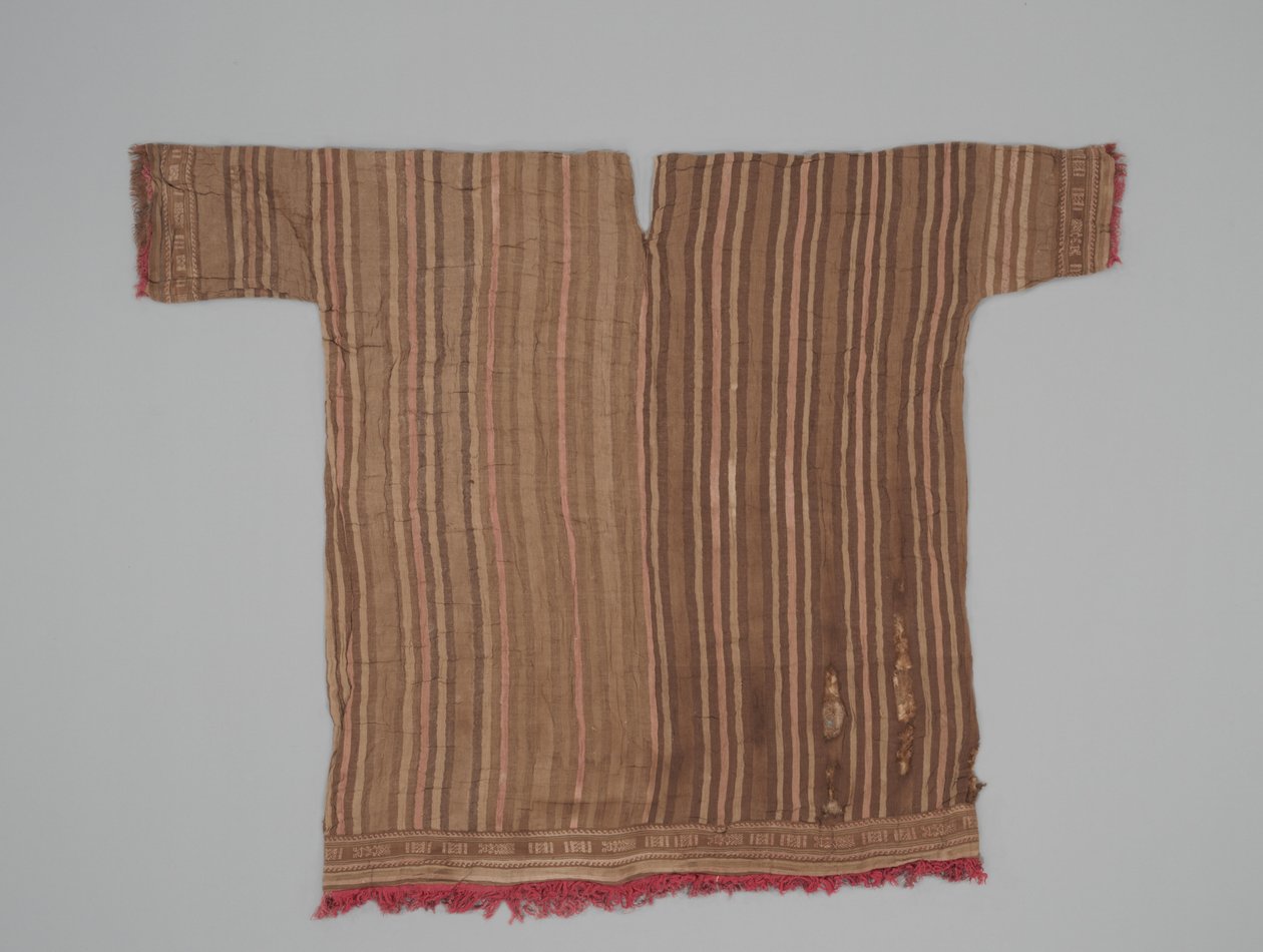 बाजू का अंगरखा, c.1300-1470 (कपास और ऊंट फाइबर) द्वारा संस्कृति चिमु