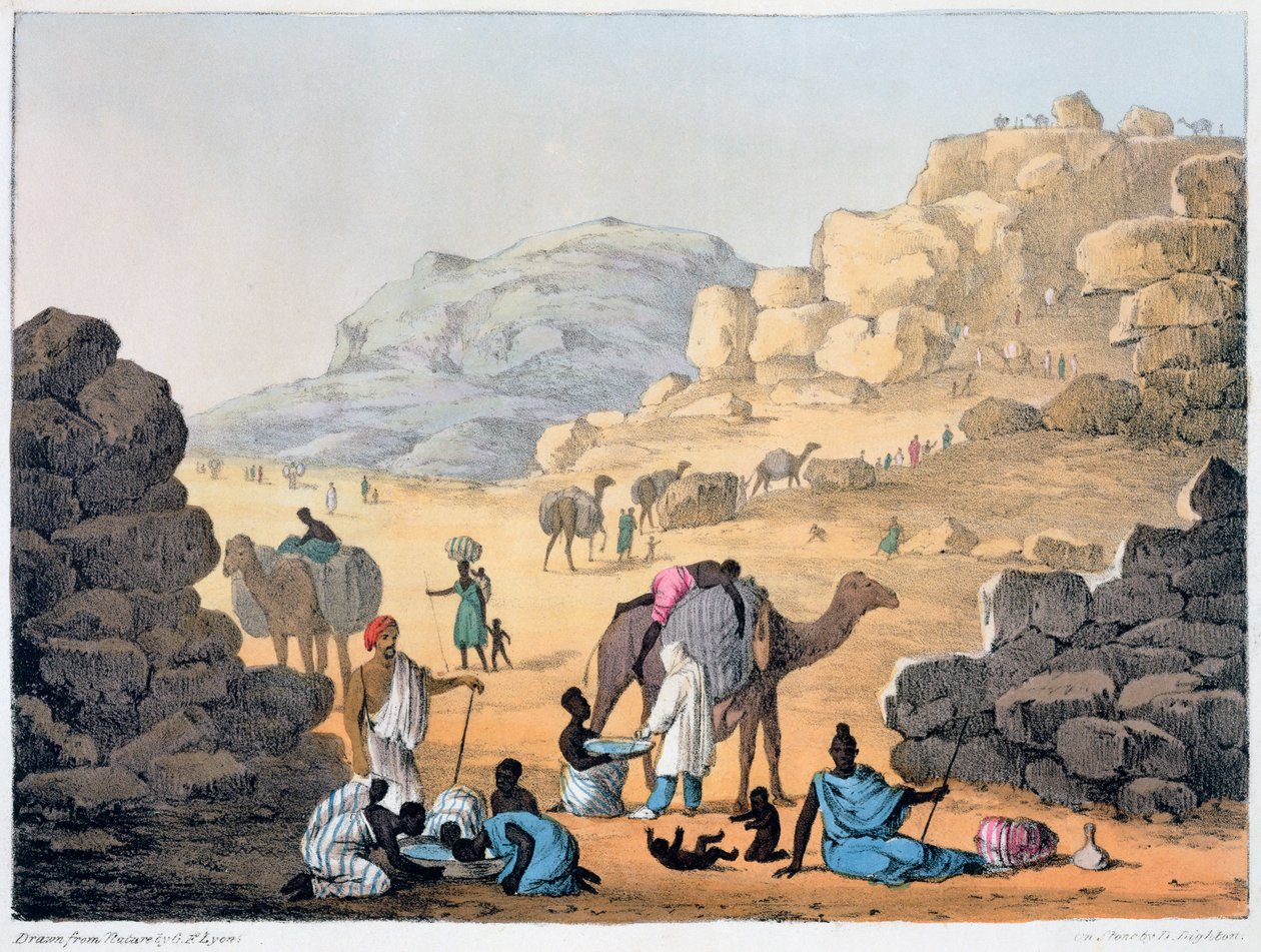 ए स्लेव काफल, 1821 द्वारा डेनिस डायटन