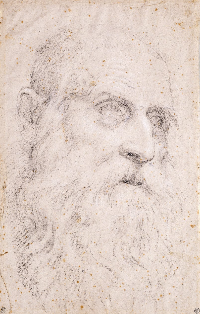संत जेरोम के प्रमुख द्वारा Domenichino