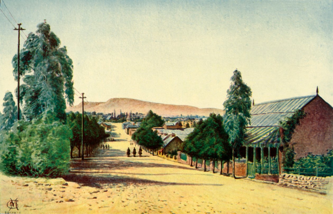 ब्लोमफोंटेन, 1901। द्वारा डोनाल्ड ई एम'क्रैकेन