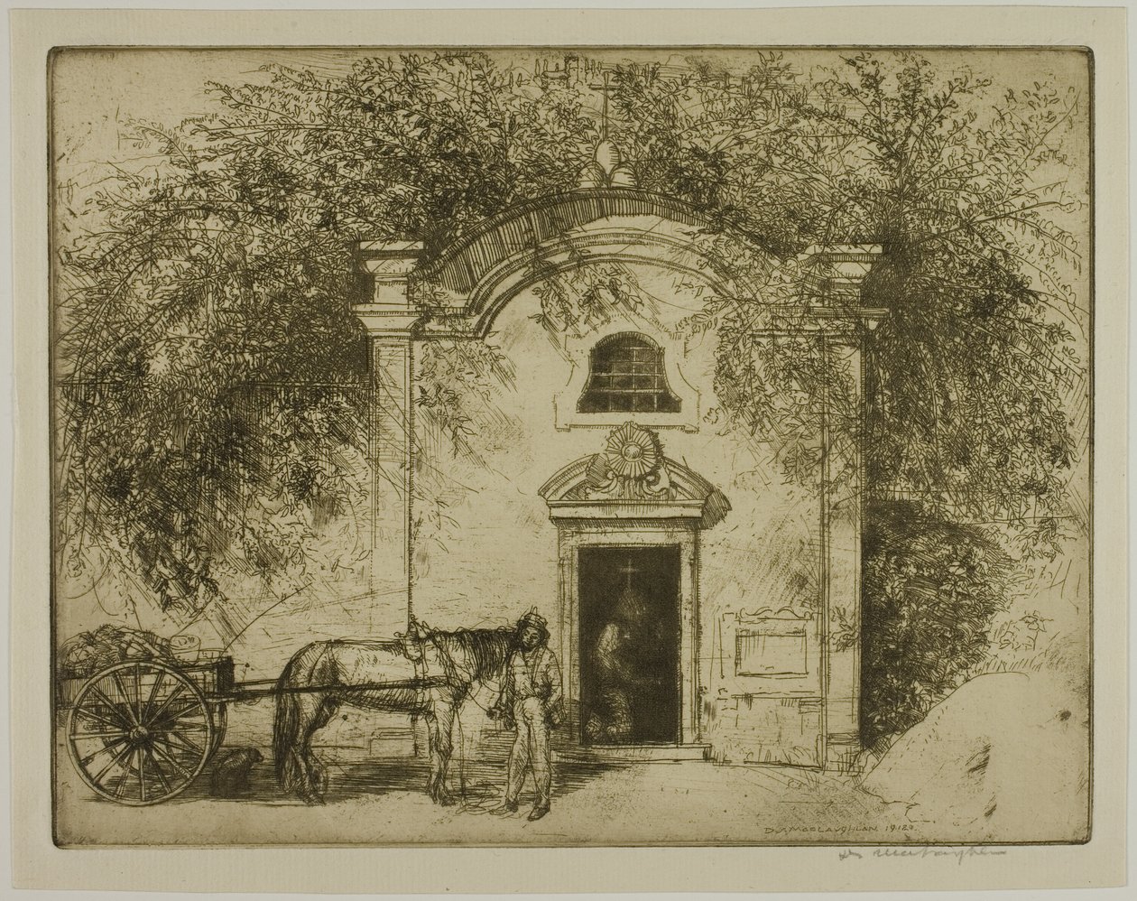  द्वारा डोनाल्ड शॉ MacLaughlan