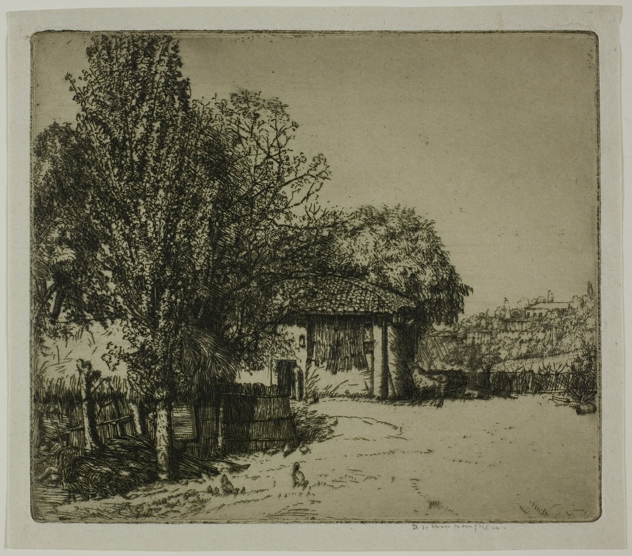  द्वारा डोनाल्ड शॉ MacLaughlan
