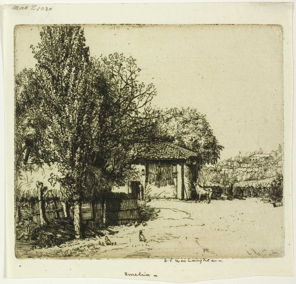  द्वारा डोनाल्ड शॉ MacLaughlan