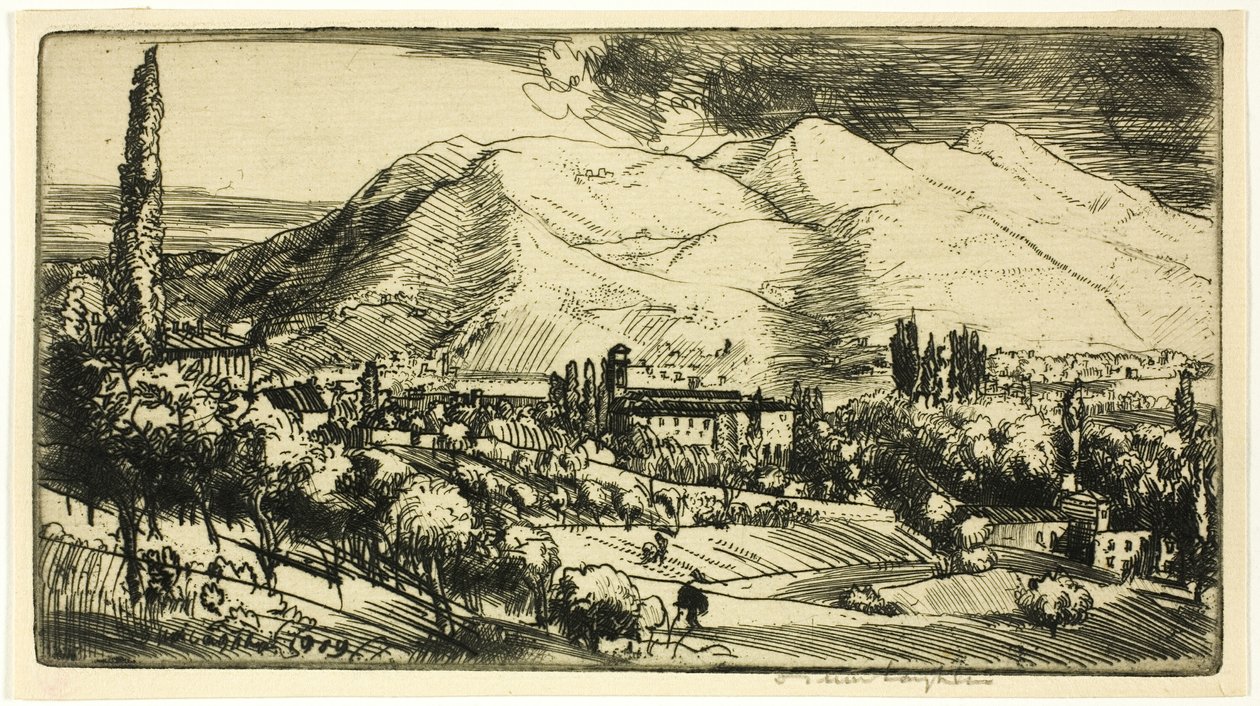  द्वारा डोनाल्ड शॉ MacLaughlan
