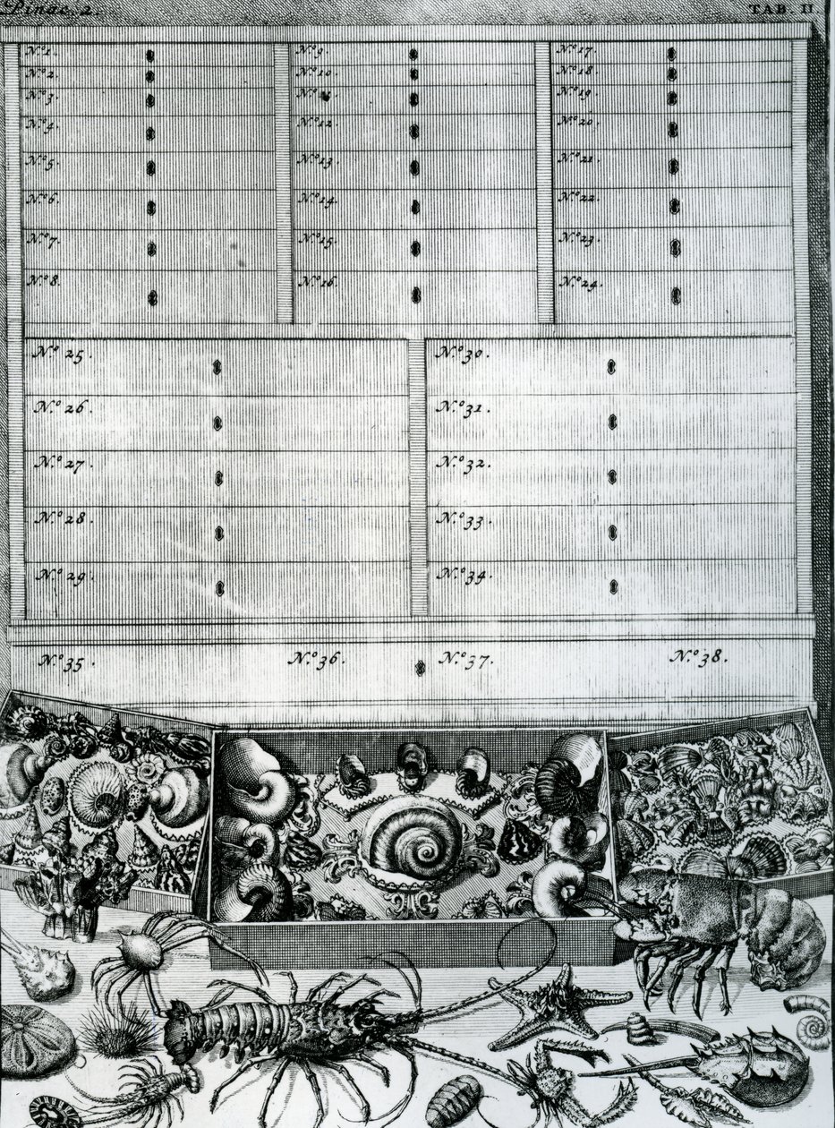 &39;सूची टेबल्स "लेविन सेंट विन्सेंट द्वारा से तालिका 2, प्रकाशित 1719 द्वारा डच स्कूल