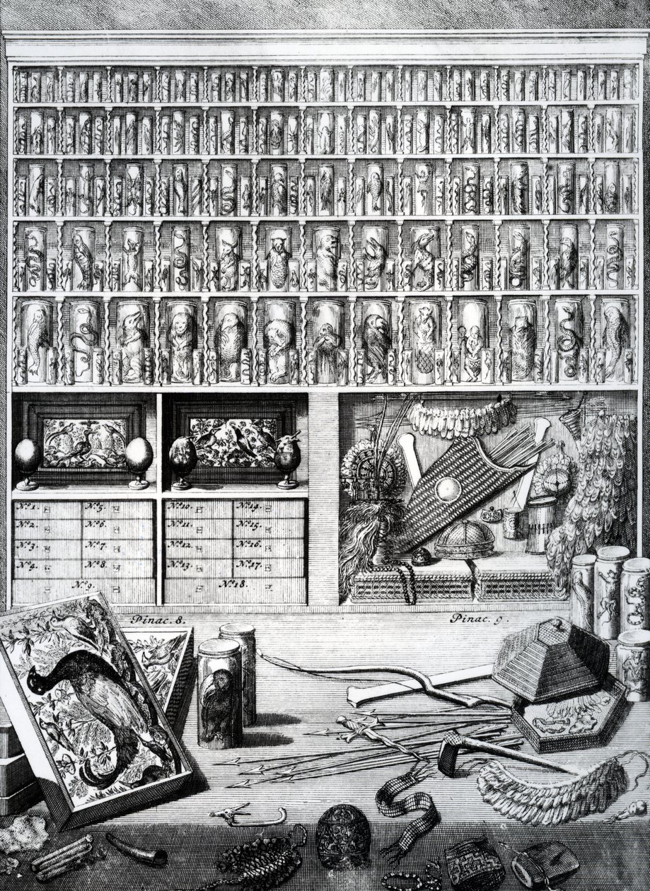 तालिका 5 &39;सूची टेबल्स "लेविन सेंट विन्सेंट द्वारा से, प्रकाशित 1719 द्वारा डच स्कूल