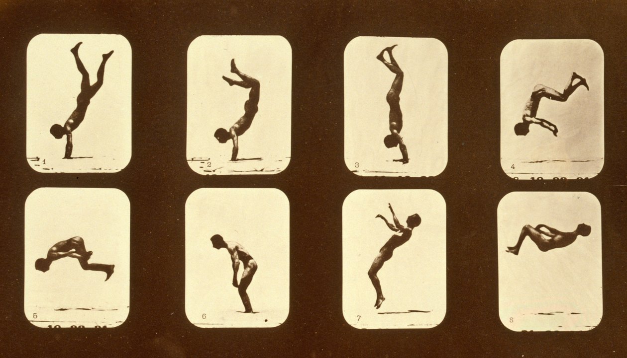 एथलीट। &39;एनिमल लोकोमोशन&39; सीरीज़ से अनियमित, c.1881 द्वारा एडवियर्ड मुयब्रिज