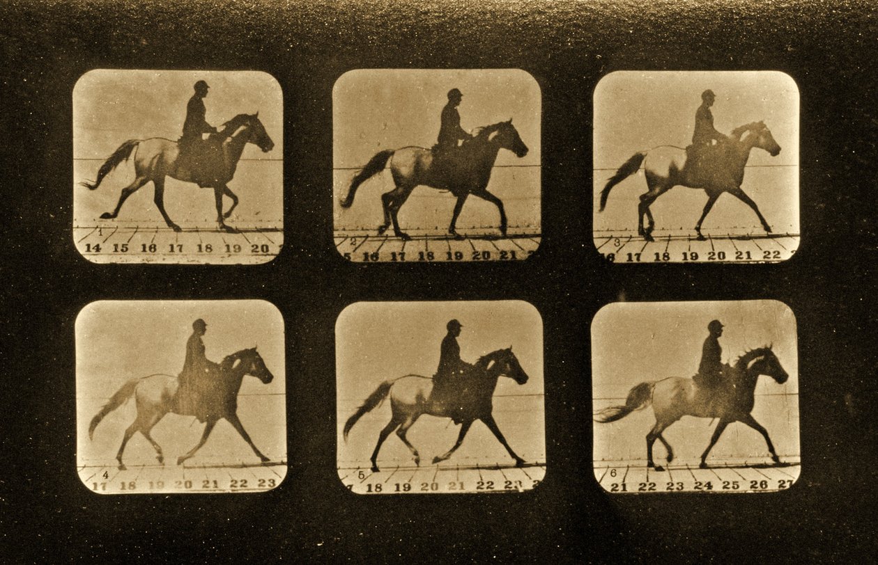 घोड़े। अनियमित, &39;एनिमल लोकोमोशन&39; श्रृंखला, c.1881 द्वारा एडवियर्ड मुयब्रिज